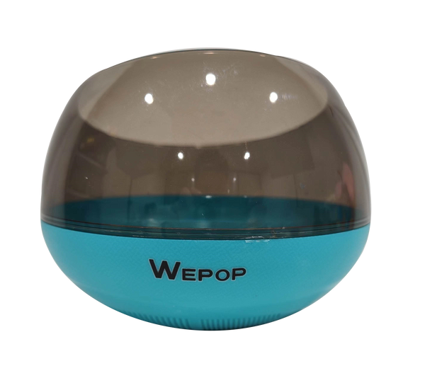 Wepop Dog Bowl Slow Feeder